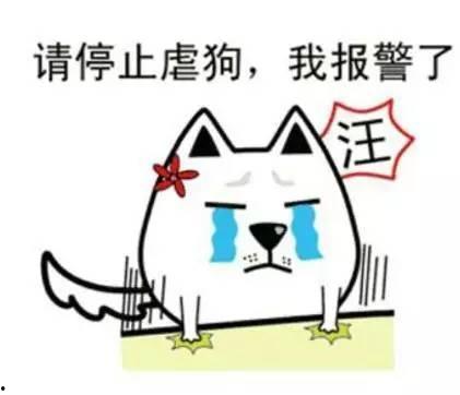 隐形式单身娱乐吃瓜酱,揭秘吃瓜酱背后的单身生活趣味